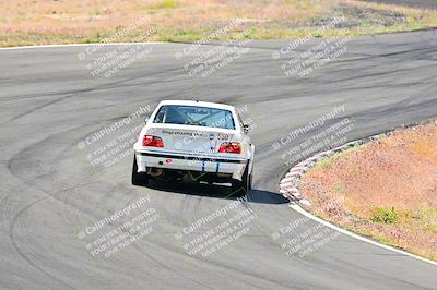 media/May-05-2024-Lucky Dog Racing (Sun) [[8a365fce5b]]/945am-Turn 5/